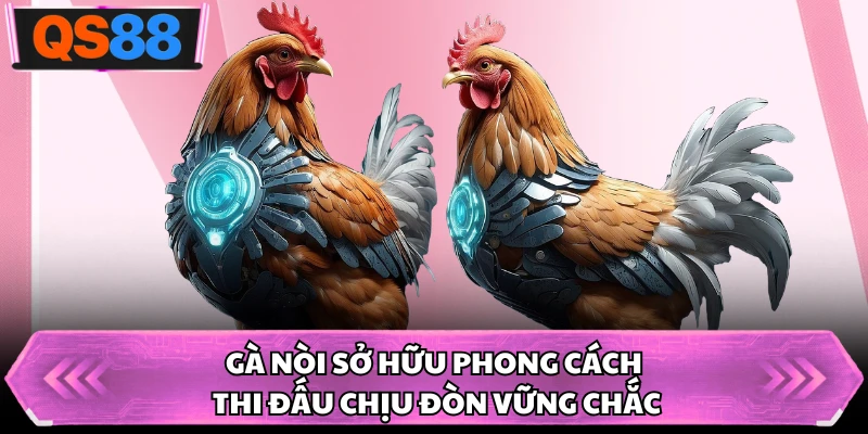 Gà nòi sở hữu phong cách thi đấu chịu đòn vững chắc
