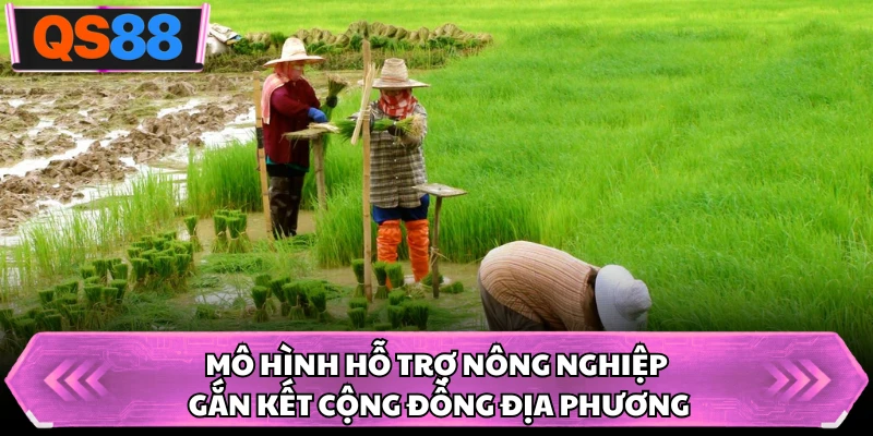 Mô hình hỗ trợ nông nghiệp gắn kết cộng đồng địa phương