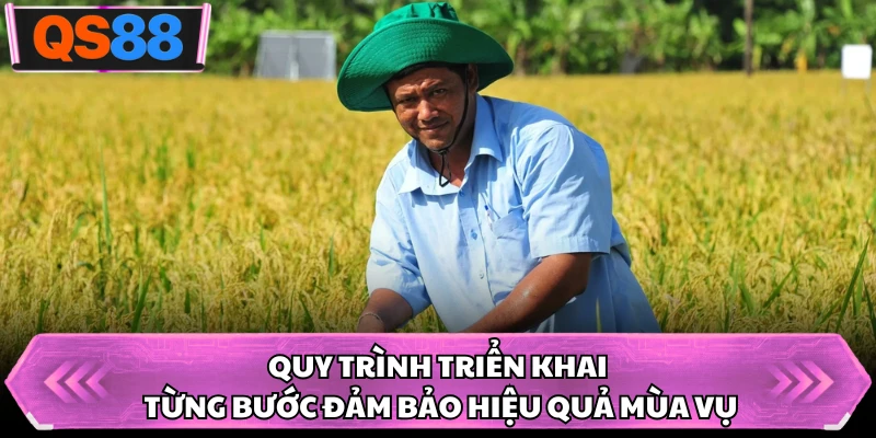 Quy trình triển khai từng bước đảm bảo hiệu quả mùa vụ