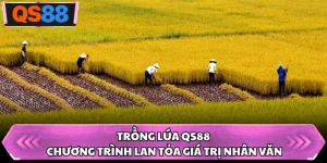 Trồng Lúa QS88 - Chương Trình Lan Tỏa Giá Trị Nhân Văn